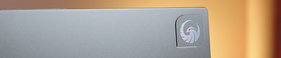 article detail