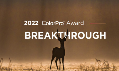 ViewSonic Tổ Chức Cuộc Thi Ảnh Toàn Cầu ColorPro Award 2022 Với Chủ Đề “Đột Phá”